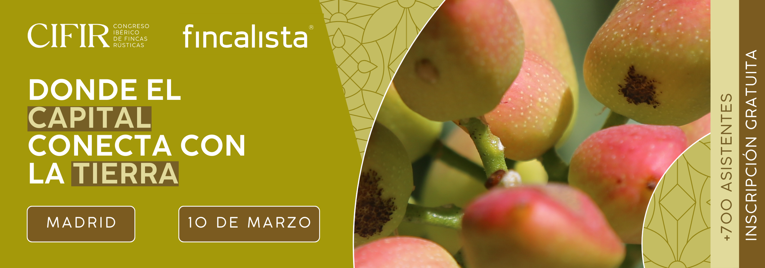 Congreso Ibérico de Fincas Rústicas (CIFIR)