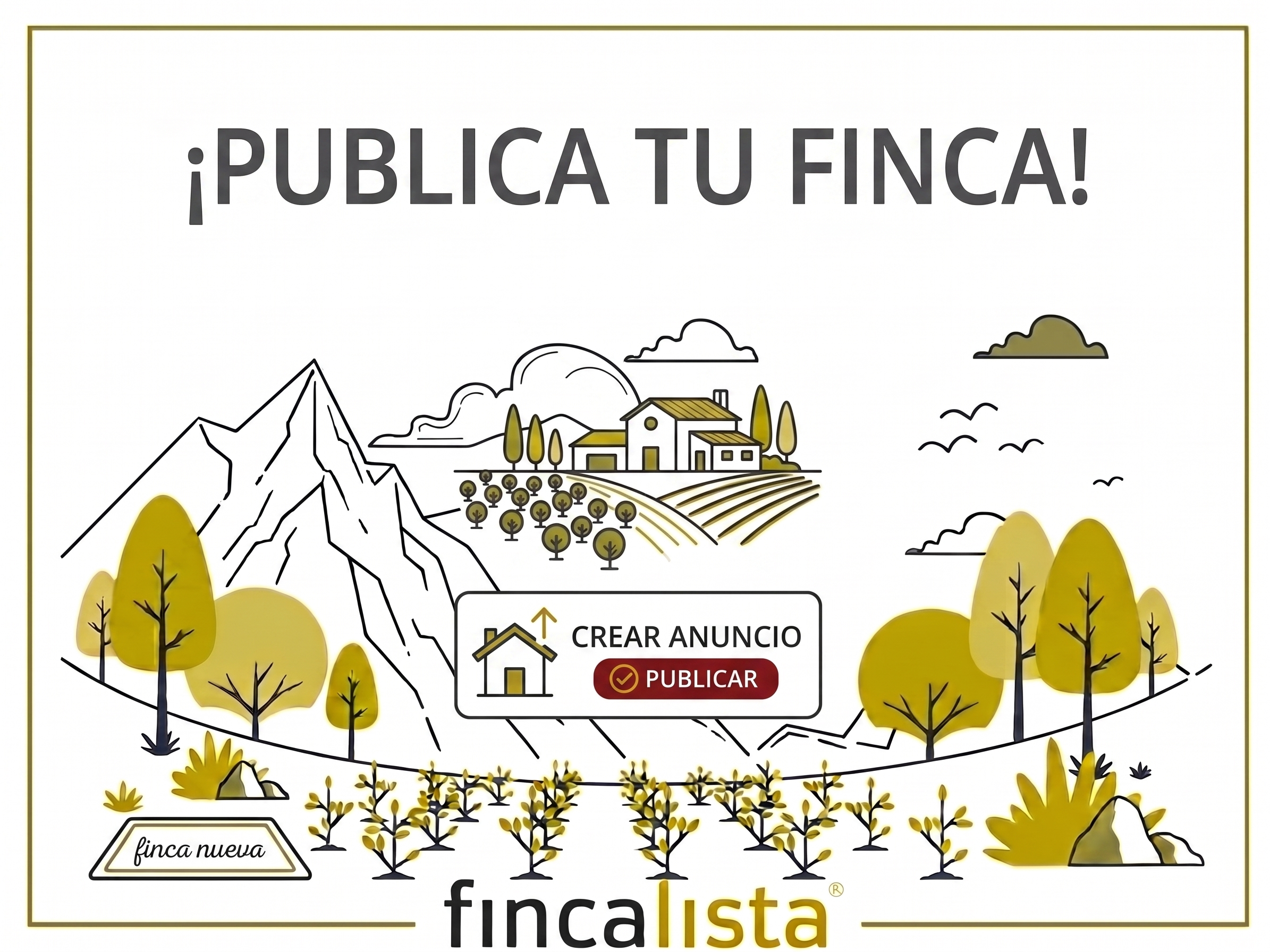 Publica tu primer anuncio