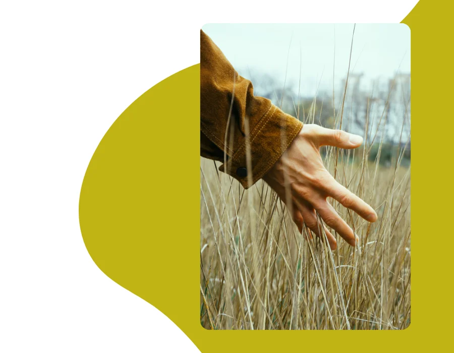 ¿En qué consiste la herramienta de valoración?