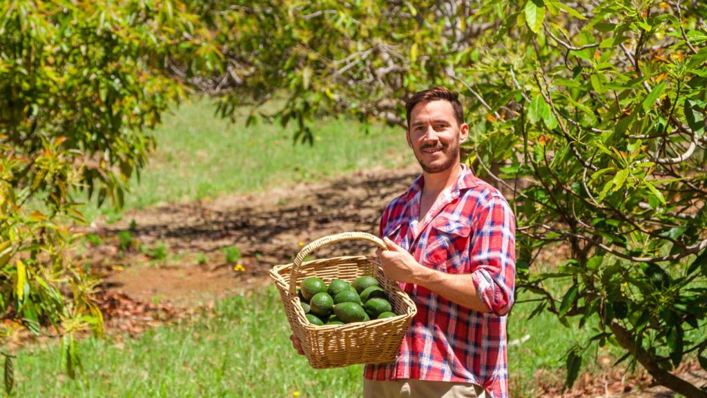 Jovenes Agroambiente