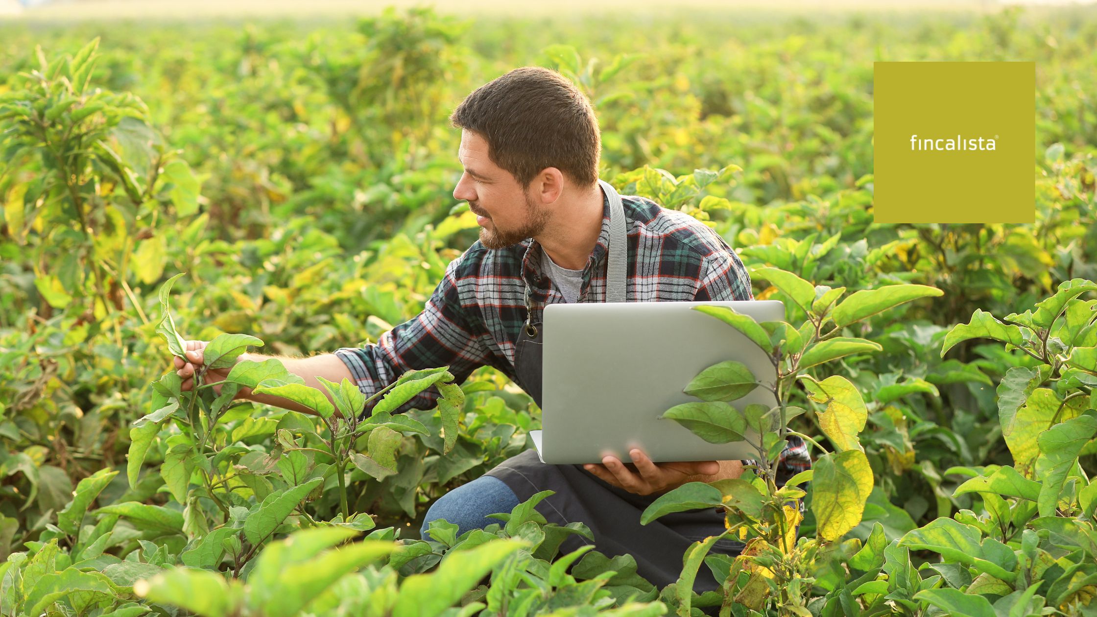 Adopción de la Agricultura Regenerativa: Hacia un Futuro Más Sostenible