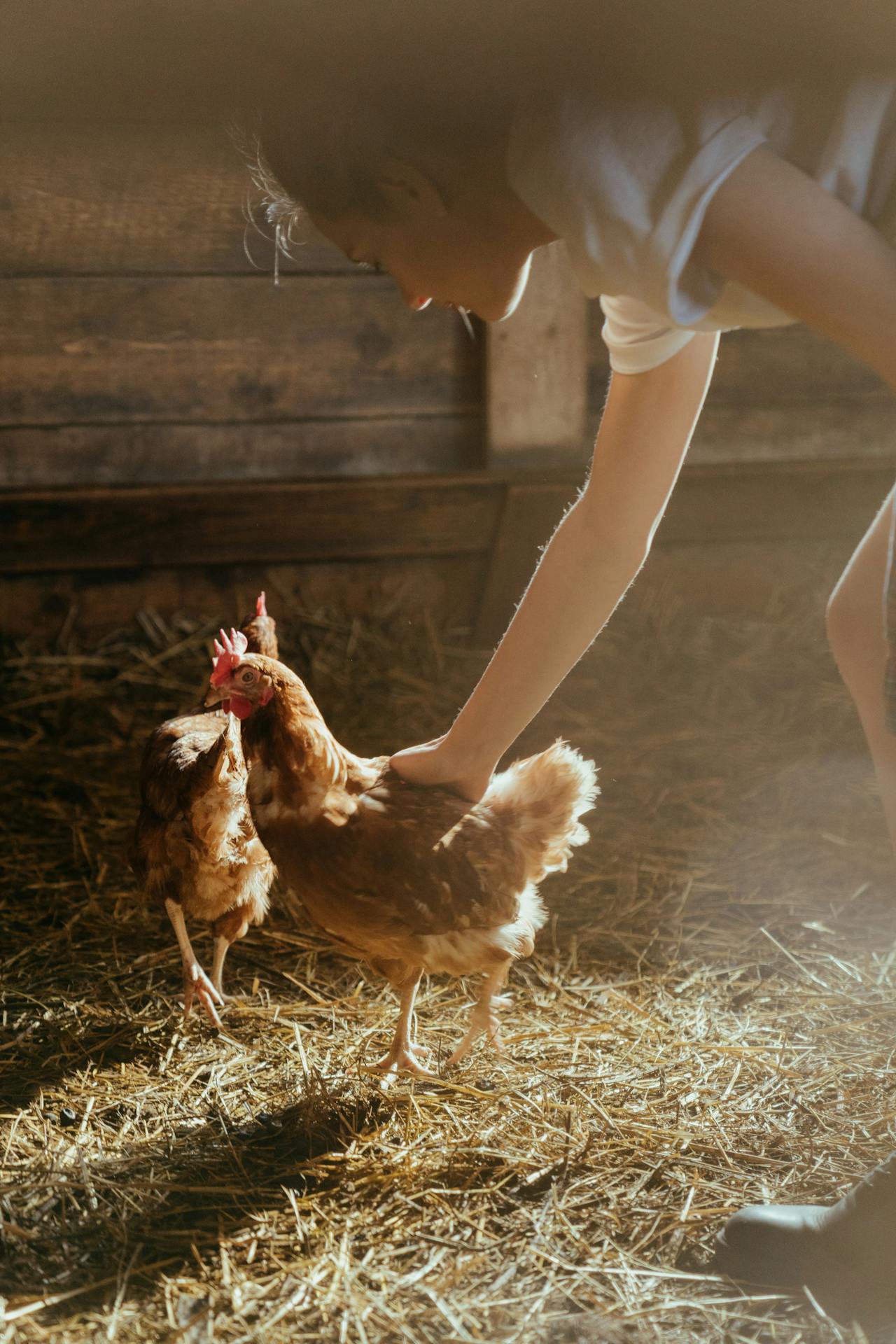 Ayudas_para_jovenes_agricultores_España