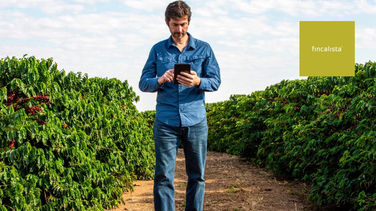 La importancia de un buen título descriptivo al publicar tu finca rústica en venta