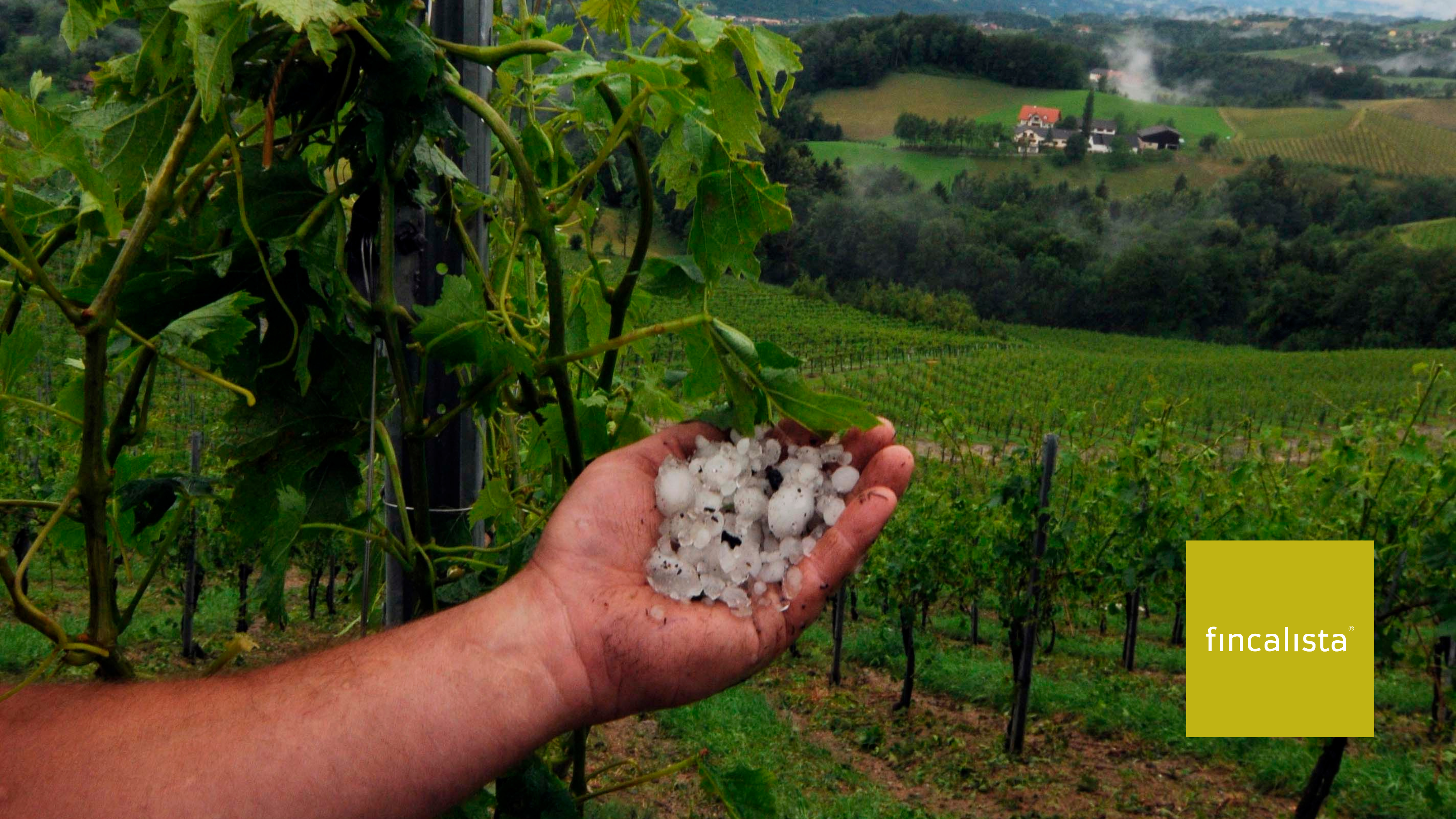 Granizo en verano