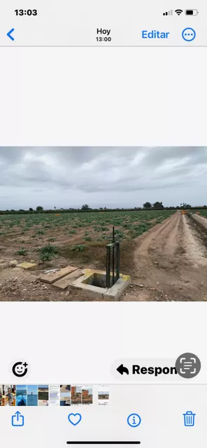 TIERRA DE CULTIVO EN PRODUCCION