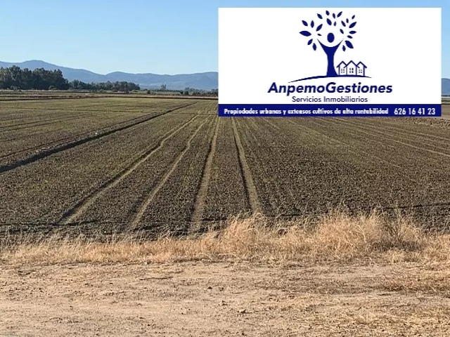 Finca Rústica en Jerez de la Frontera | Tierra de labor regadío | 153 ha