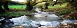 ¡¡¡ FINCA IDEAL PARA MONTAR NEGOCIO RURAL!!!