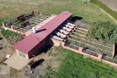 FINCA DE PISTACHOS EN EL SUR DE ESPAÑA