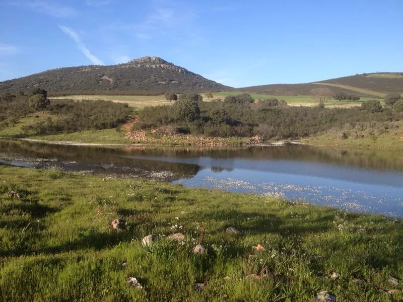 Finca rústica agrícola, ganadera y cinegética