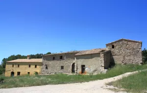 Finca con viñedo y masia rural