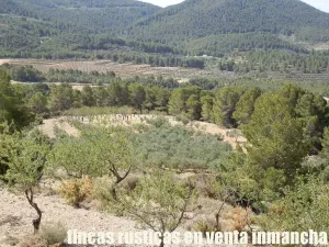 finca en venta 60 has. recreo Alicante