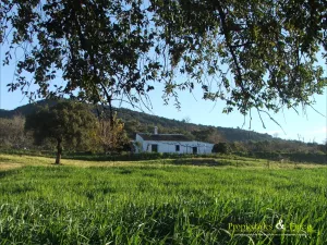 Venta de finca de recreo de 9,6 hectáreas.