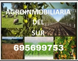 Explotación e industria agroalimenta.