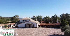 Gran finca de Caza Mayor - Ciudad Real 870 ha