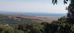 FINCA RÚSTICA CON VISTAS AL MAR