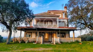 Dehesa ganadera con vivienda