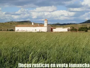 finca en venta 1.366 Has. labor viña monte