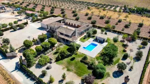 Finca residencial con olivar y viñedo