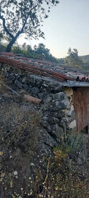 Priorat DOQ. Venta viñedo. CCPAE