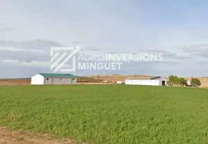 Vendo Finca de 123 Ha de Regadío en Teruel