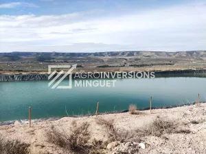 Vendo Finca de 50 Ha de Regadío en Bajo Cinca