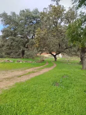 VENTA FINCA EN SIERRA DE ARACENA Y PICOS DE A