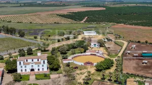 Centro hípico con vivienda en Sevilla