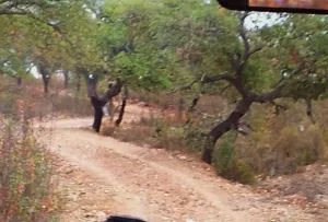 Finca  de caza mayor de 1.000 hectáreas