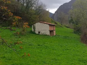 Se vende parcela y cabaña