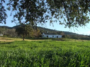 Finca de recreo de 9,5 hectáreas en Sevilla