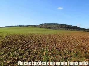 finca en venta 118 has. ciudad real