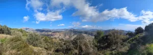 Finca rústica con olivos y buenas vistas