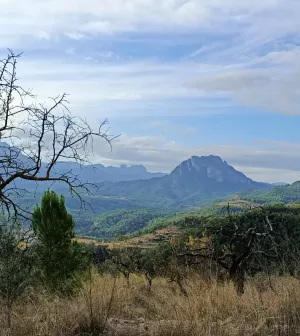 Finca con magníficas vista