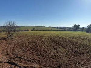 Se vende finca de 45ha a 5min de Mérida