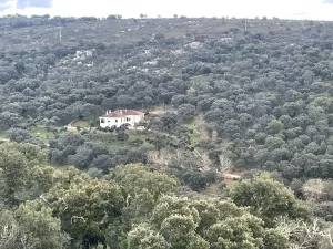 Finca 303 Has en Ciudad Rodrigo-Fotovoltaico