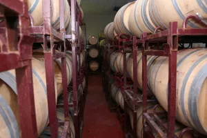 Vendo bodega y viñedos  en la Ribera de Duero