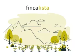 Finca olivar Sevilla