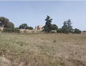 Terreno no urbanizable en Palma De Mallorca