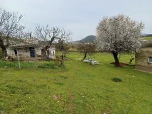 SE VENDE finca rútica en Higuera de Vargas