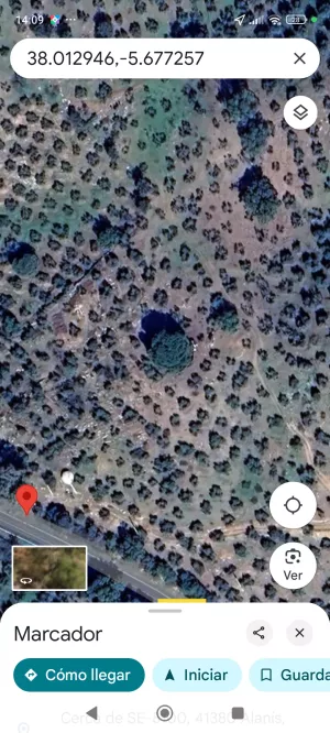 Finca. Olivar secano muy cuidado.