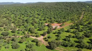 FINCA DE CAZA EN SIERRA SAN PEDRO - 1504