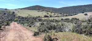 FINCA DE RECREO Y CAZA EN TOLEDO - 1502