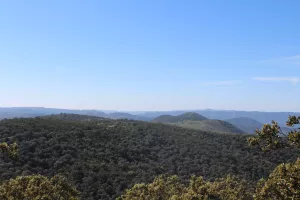 FINCA DE CAZA Y RECREO EN CORDOBA - 1487