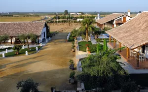 FINCA HIPICA DE LUJO JUNTO DOÑANA - 1478