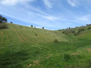 FINCA DE RECREO Y CAZA EN TOLEDO - 1451