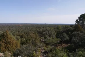 FINCA DE CAZA Y RECREO EN CUENCA