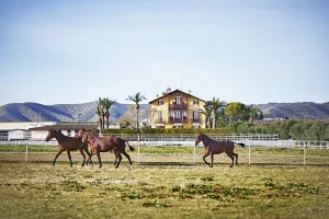 FINCA HIPICA DE LUJO EN BARCELONA