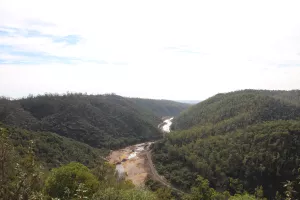 FINCA DE CAZA Y CORCHO EN HUELVA - 1447