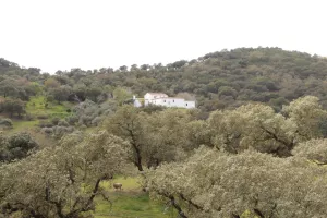 FINCA DE RECREO Y GANADERA EN SEVILLA - 1435