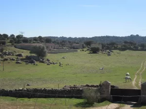 FINCA GANADERA EN TOLEDO